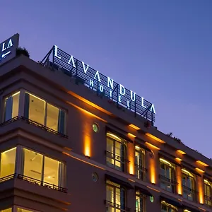 Levent Lavandula فندق